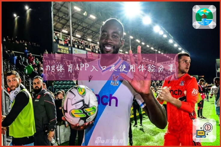 ng体育APP入口及使用体验分享