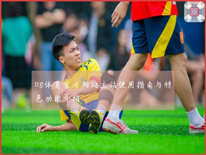 ng体育官方网站主站使用指南与特色功能介绍