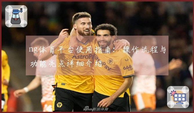 ng体育平台使用指南：操作流程与功能亮点详细介绍