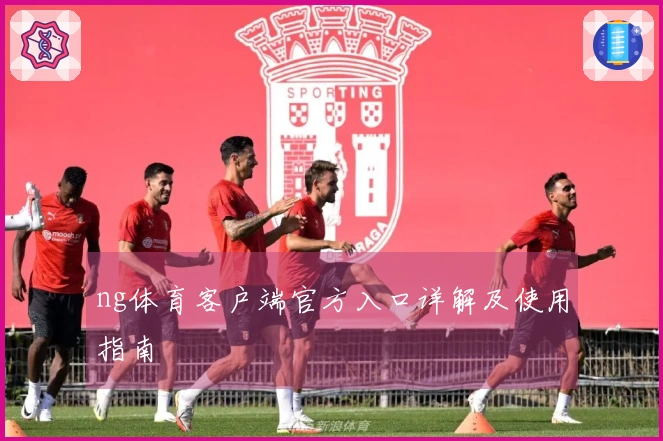 ng体育客户端官方入口详解及使用指南