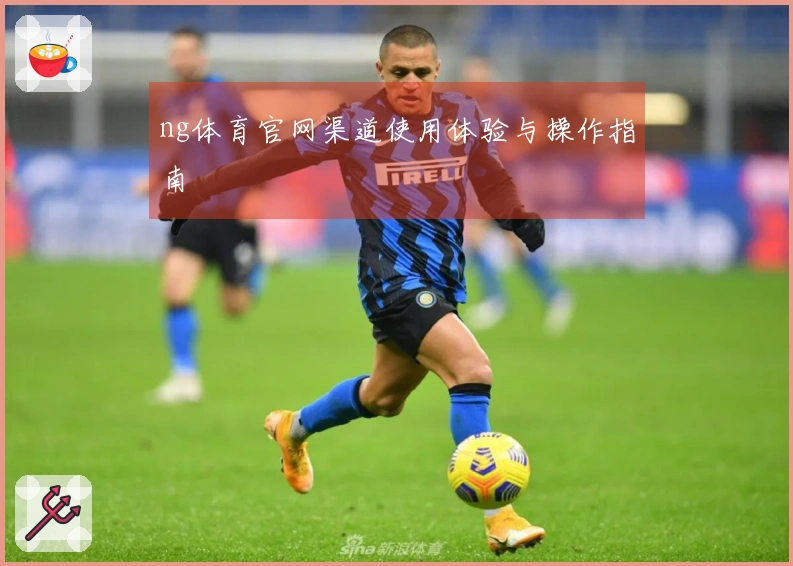 ng体育官网渠道使用体验与操作指南